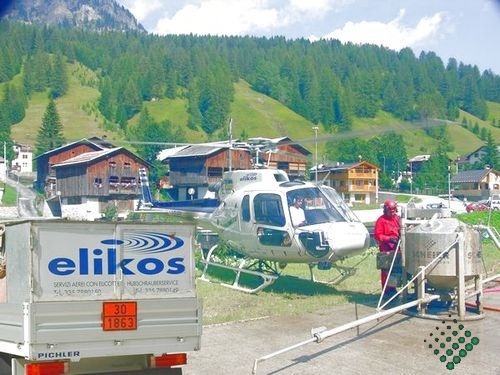 scheierheli 1