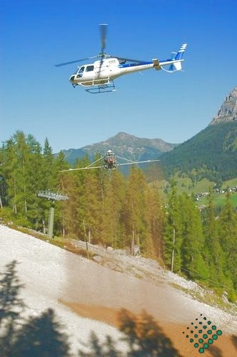 scheierheli 13