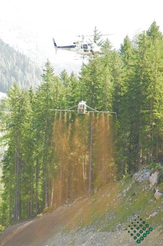 scheierheli 14