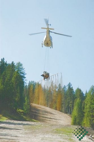 scheierheli 16