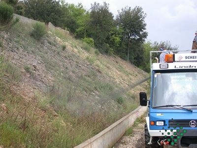 siena 1