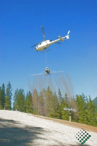 scheierheli 19