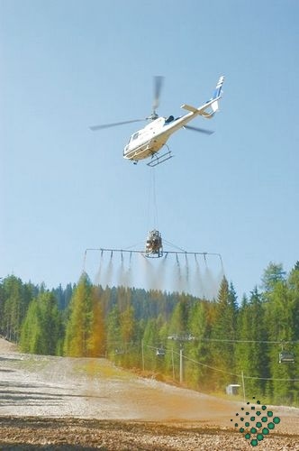 scheierheli 20