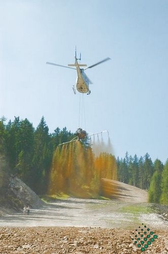 scheierheli 21